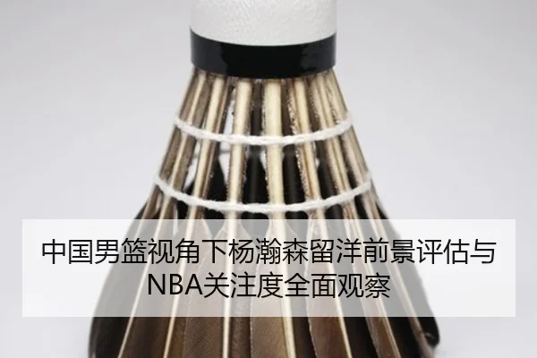 中国男篮视角下杨瀚森留洋前景评估与NBA关注度全面观察